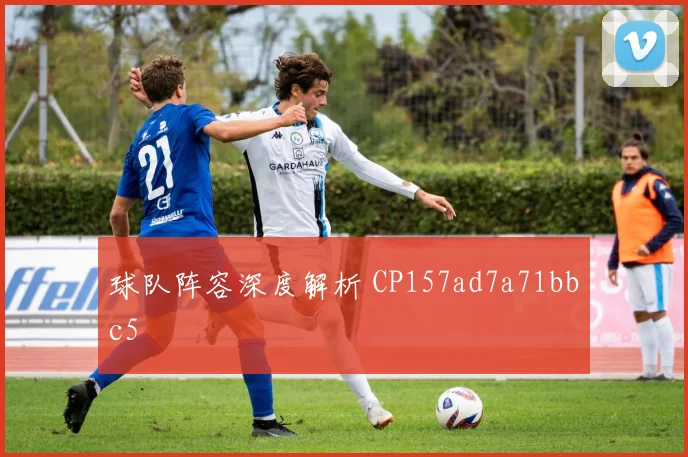 球队阵容深度解析 CP157ad7a71bbc5